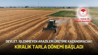 Devlet, İşlenmeyen Arazileri Üretime Kazandıracak! Kiralık Tarla Dönemi Başladı