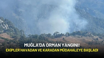 Muğla'da Orman Yangını: Ekipler Havadan ve Karadan Müdahaleye Başladı