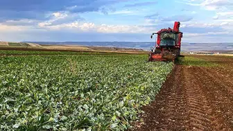 Çiftçinin yüzü gülecek: Tarımsal destek ödemelerinde 13 milyar liralık dev adım