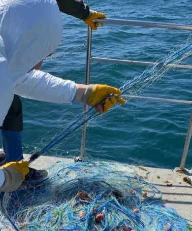 Ordu'da Yasak Ağa Büyük Müdahale: Kalkan Balıkları Kurtarıldı, Ağlara El Konuldu