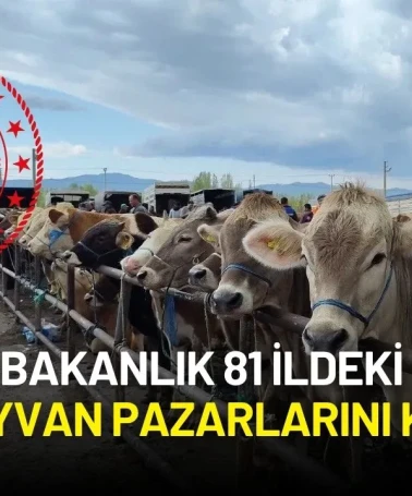 Şap Hastalığı Arttı! Bakanlık 81 İldeki Tüm Hayvan Pazarlarını Kapattı