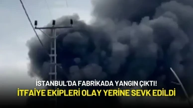 İstanbul’da Fabrikada Yangın Çıktı! İtfaiye Ekipleri Olay Yerine Sevk Edildi