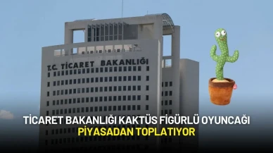 Ticaret Bakanlığı "Kaktüs Figürlü Oyuncak" İçin Piyasadan Toplatma Kararı Aldı