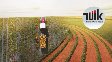 TÜİK Açıkladı: Tarım Ürünleri Üretici Fiyat Endeksi Eylül’de Yükseldi