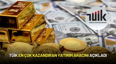 TÜİK En Çok Kazandıran Yatırım Aracını Açıkladı