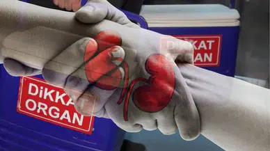 Merkezi Organ Bağışı Verileri Açıklandı: "O" İl Organ Bağışında Birinci Oldu!