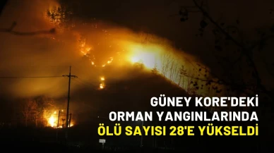Güney Kore'deki orman yangınlarında ölü sayısı 28'e yükseldi