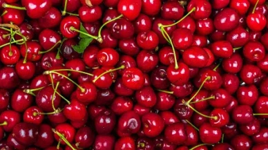Her Gün Bir Avuç Kiraz Yiyin! Alzheimer ve Kanser Riski Azalıyor
