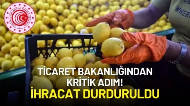 Ticaret Bakanlığından Kritik Adım! İhracat Durduruldu