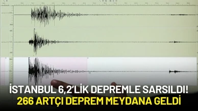 İstanbul 6,2’lik Depremle Sarsıldı: 266 Artçı Deprem Meydana Geldi