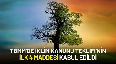 TBMM'de İklim Kanunu Teklifi'nin İlk 4 Maddesi Kabul Edildi