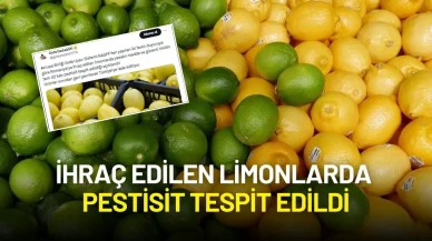 Türkiye’den Romanya’ya İhraç Edilen Limonlarda Pestisit Tespit Edildi: Ürünler Geri Çevrildi