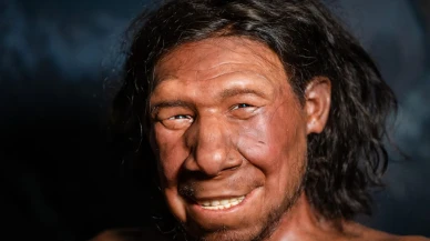 Neandertaller Neden Yok Oldu? Bilim İnsanlarının Cevaplayamadığı Büyük Soru