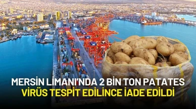 Mersin Limanı’nda Alarm: 2 Bin Ton Patates Virüs Tespit Edilince İade Edildi