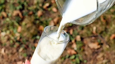 Rekabet Kurulu, Süt Sektöründe İki Ünlü Markaya Soruşturma Başlattı
