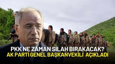 PKK Ne Zaman Silah Bırakacak? Ak Parti Genel Başkanvekili Efkan Ala Açıkladı
