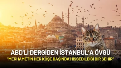 ABD'li Dergiden İstanbul’a Övgü: "Kedi Severlerin Rüya Şehri!"