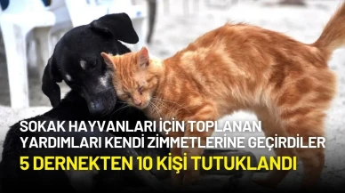 Sokak Hayvanları İçin Toplanan Yardımları Kendi Zimmetlerine Geçiren 5 Dernekten 10 Kişi Tutuklandı