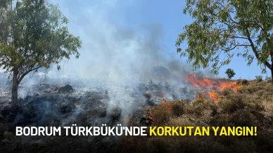 Bodrum Türkbükü'nde Korkutan Yangın! Ekipler Harekete Geçti