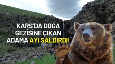 Kars’da Doğa Gezisine Çıkan Adama Ayı Saldırdı!