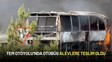 TEM Otoyolu’nda Bir Otobüs Alevlere Teslim Oldu