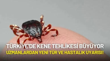 Türkiye'de Kene Tehlikesi Büyüyor: Uzmanlardan Yeni Türler ve Hastalık Uyarısı!
