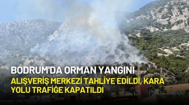 Bodrum'da Orman Yangını: Alışveriş Merkezi Tahliye Edildi, Kara Yolu Trafiğe Kapatıldı