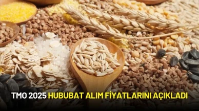 TMO 2025 Hububat Alım Fiyatlarını Açıkladı