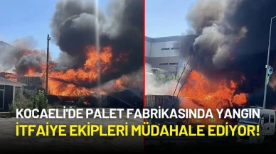 Kocaeli'de Palet Fabrikasında Yangın: İtfaiye Ekipleri Müdahale Ediyor!
