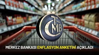 Merkez Bankası Enflasyon Anketini Açıkladı
