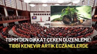 TBMM’den Dikkat Çeken Düzenleme! Tıbbi Kenevir Artık Eczanelerde