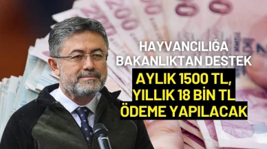 Hayvancılığa Bakanlıktan Destek: Aylık 1500 TL, Yıllık 18 Bin TL Ödeme Yapılacak
