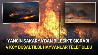 Sakarya ve Bilecik’te Orman Yangını! 4 Köy Boşaltıldı, Hayvanlar Telef Oldu