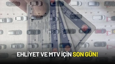 Araç Sahipleri ve Ehliyet Yenileyecekler İçin Son Gün!