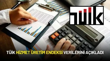 TÜİK Hizmet Üretim Endeksi Verilerini Açıkladı