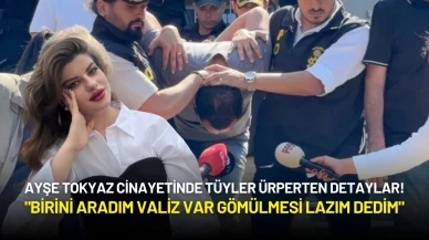 Ayşe Tokyaz Cinayetinde Tüyler Ürperten Detaylar: "Birini Aradım Valiz Var Gömülmesi Lazım Dedim"
