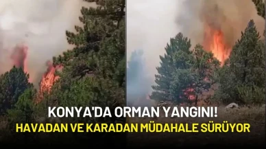 Konya'da Orman Yangını! Havadan ve Karadan Müdahale Sürüyor