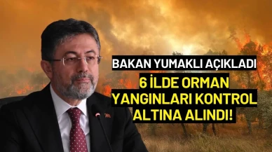 Bakan Yumaklı Açıkladı: 6 İlde Orman Yangınları Kontrol Altına Alındı!