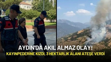 Aydın'da Akıl Almaz Olay! Kayınpederine Kızdı, 3 Hektarlık Alanı Ateşe Verdi