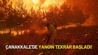 Çanakkale'de Yangın Tekrar Başladı: Alevler Hızla Köylere İlerliyor!