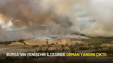 Bursa’nın Yenişehir İlçesinde Orman Yangını Çıktı!