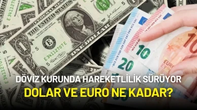 Döviz Kuru Hareketliliği Sürüyor: Dolar ve Euro Ne Kadar?