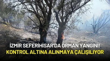 İzmir Seferihisar’da Orman Yangını! Kontrol Altına Alınmaya Çalışılıyor