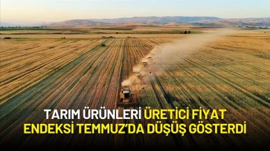 Tarım Ürünleri Üretici Fiyat Endeksi Temmuz’da Düşüş Gösterdi