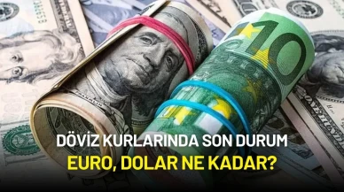 Döviz Kurlarında Son Durum: Euro, Dolar Ne Kadar?
