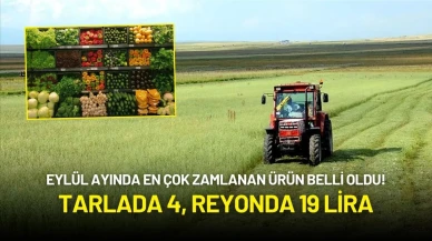 Eylül Ayında En Çok Zamlanan Ürün Belli Oldu! Tarlada 4, Reyonda 19 Lira