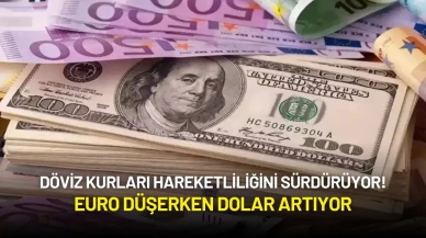 Döviz Kurları Hareketli! Euro Düşerken Dolar Artıyor
