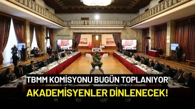 TBMM Komisyonu Bugün Toplanıyor: Akademisyenler Dinlenecek!