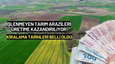 İşlenmeyen Tarım Arazileri Üretime Kazandırılıyor: Kiralama Tarihleri Belli Oldu