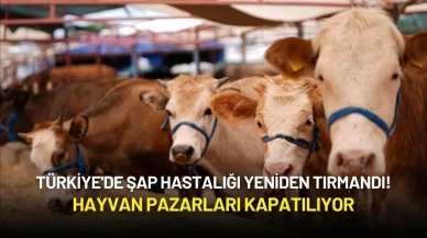 Türkiye'de Şap Hastalığı Yeniden Tırmandı! Hayvan Pazarları Kapatılıyor
